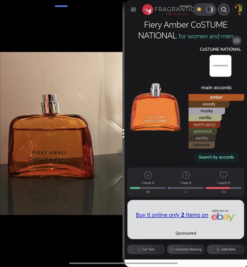 CoSTUME NATIONAL Fiery Amber