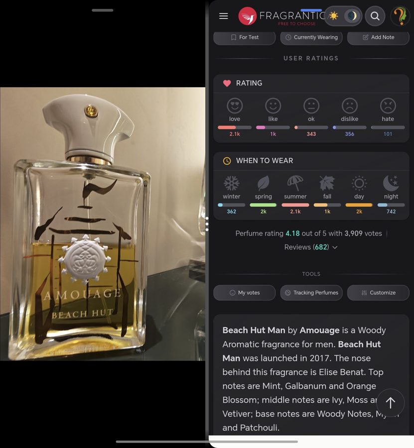Amouage Beach Hut Man 100ml