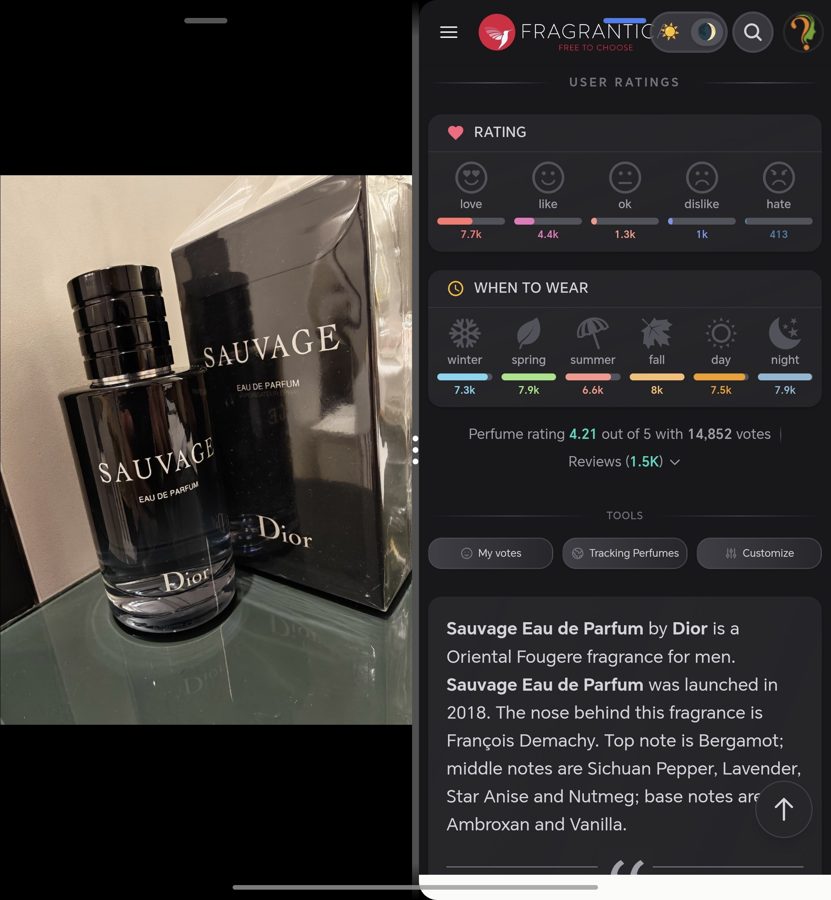 Dior Sauvage Eau de Parfum