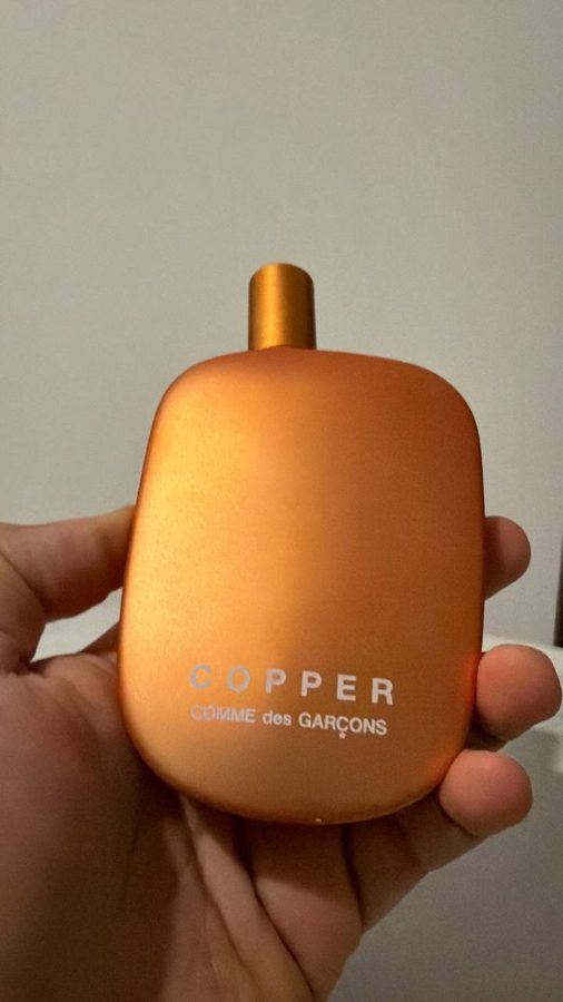 Comme des Garcons Copper